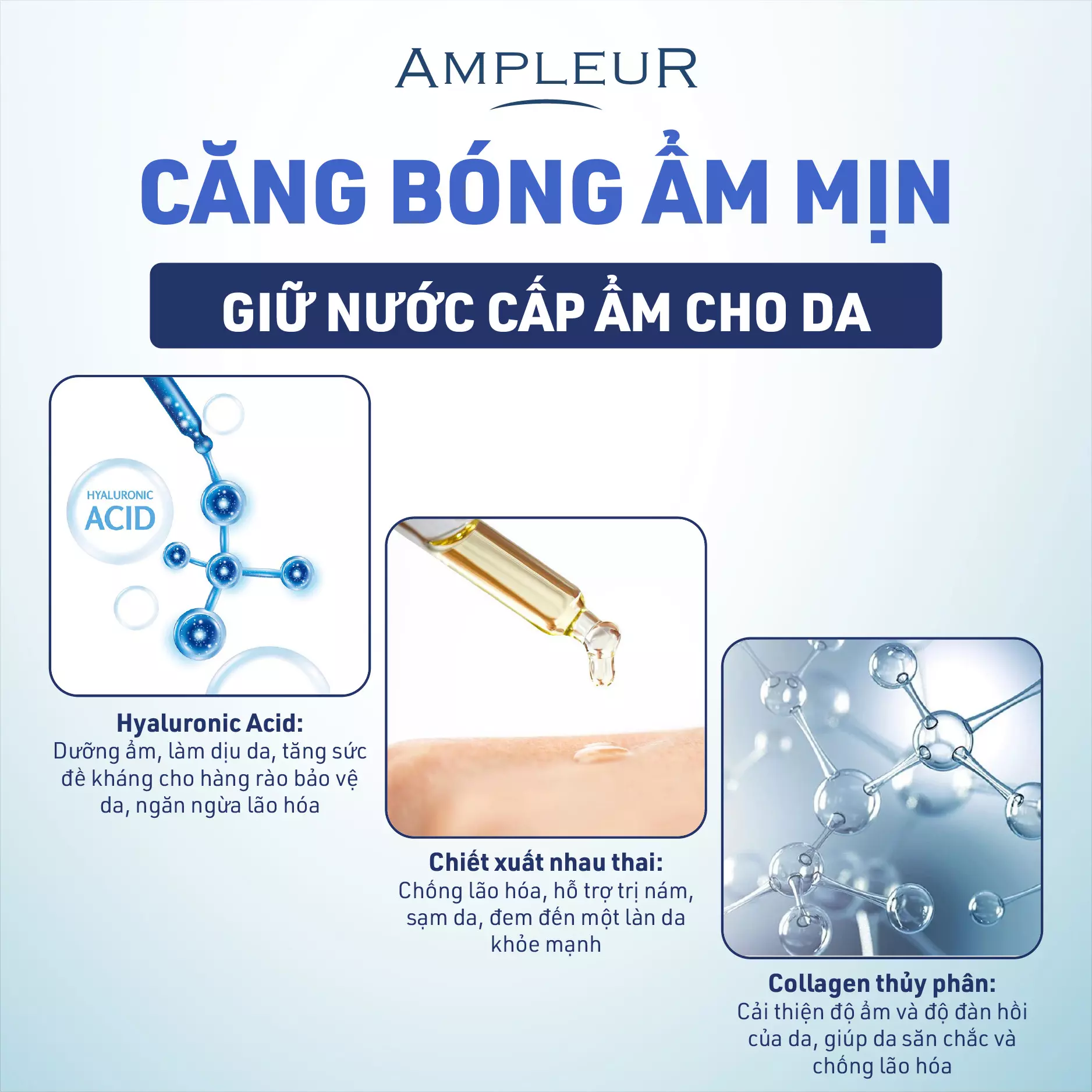 Sữa rửa mặt Ampleur Luxury White Washing Foam N