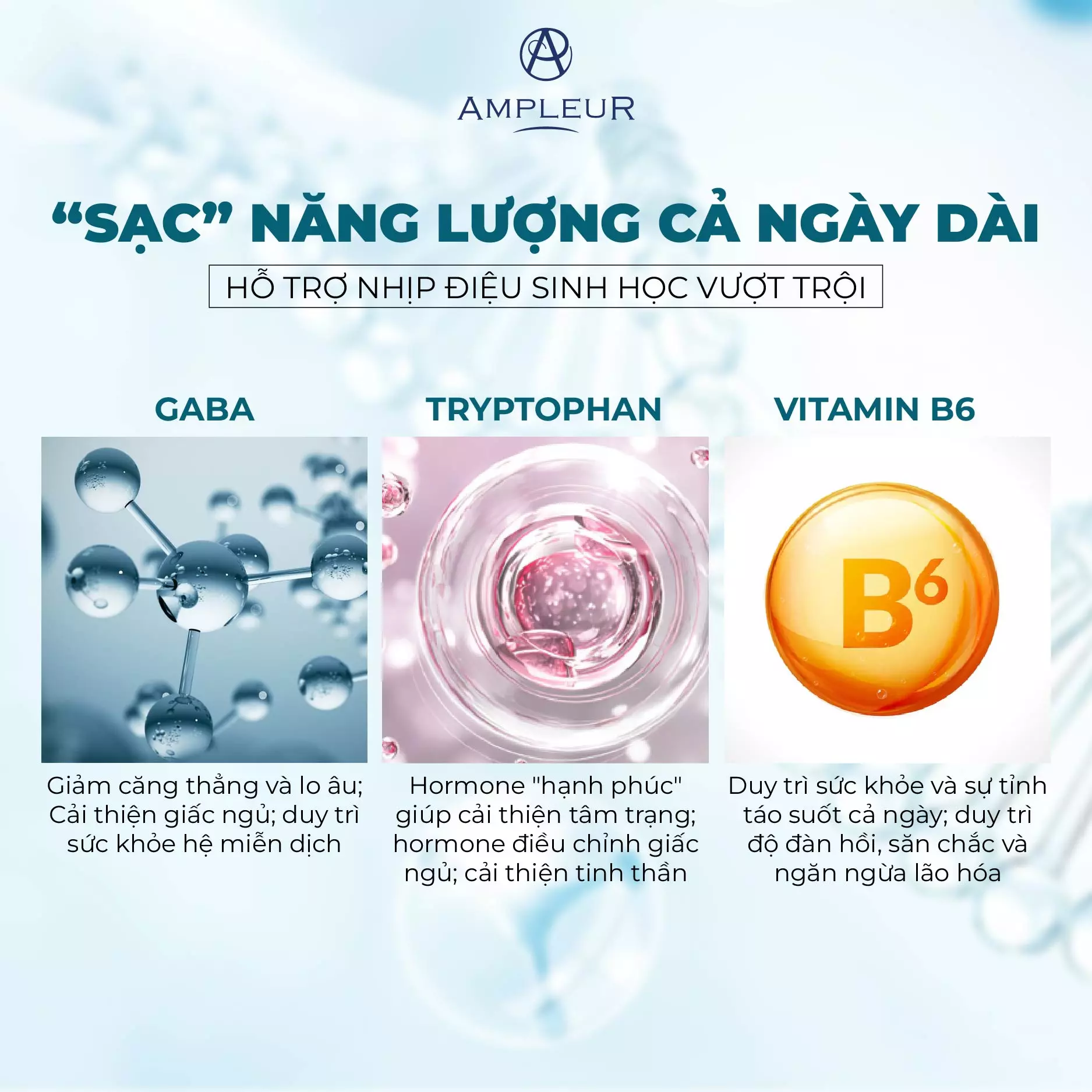HỖ TRỢ NHỊP SINH HỌC – THƯ GIÃN & CÂN BẰNG CƠ THỂ