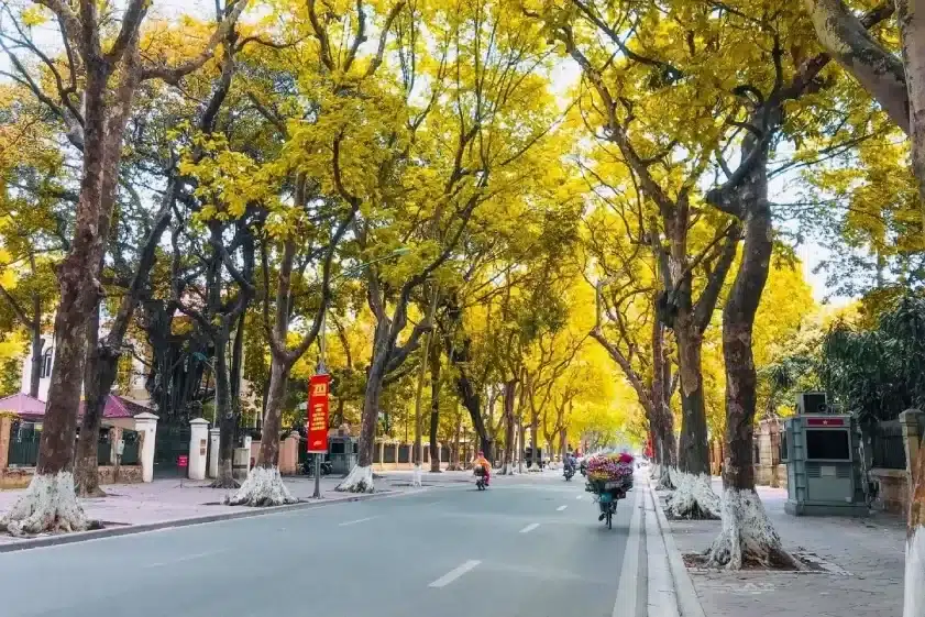 Trị nám mùa thu: 4 lý do tháng 10 là "thời điểm vàng" phục hồi sắc tố 1 Đặc điểm thời tiết tháng 10 và sự suy giảm cường độ tia cực tím (UV)