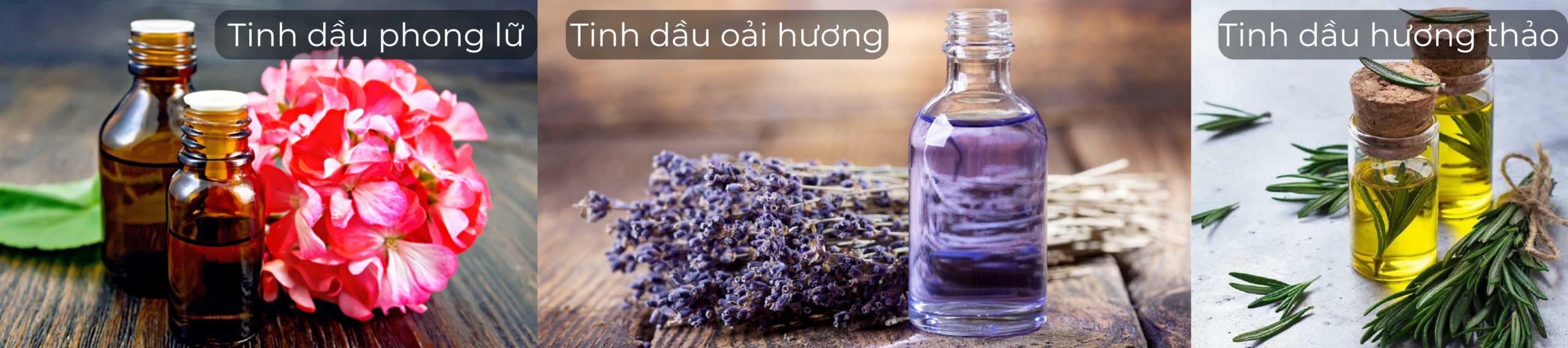 3 loại tinh dầu hữu cơ được chứng nhận