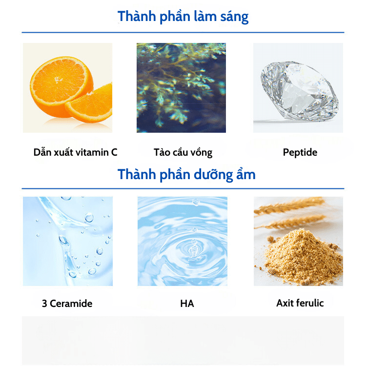 Thành phần làm đẹp da (làm sáng và dưỡng ẩm)