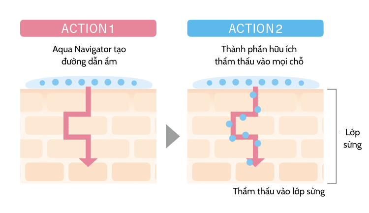 Thẩm thấu vào mọi ngóc ngách