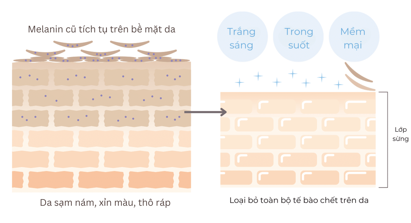 Loại bỏ tế bào chết hiệu quả