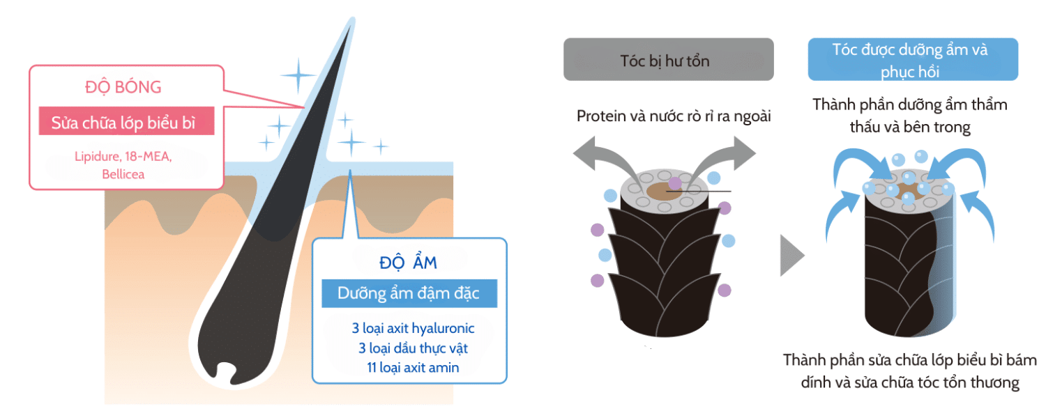 Công thức chăm sóc hư tổn độc đáo