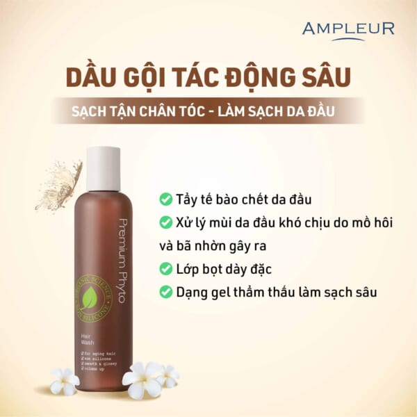 Dầu gội Ampleur