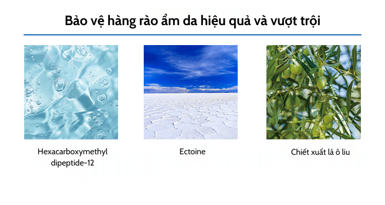 Bảo vệ hàng rào ẩm da hiệu quả 