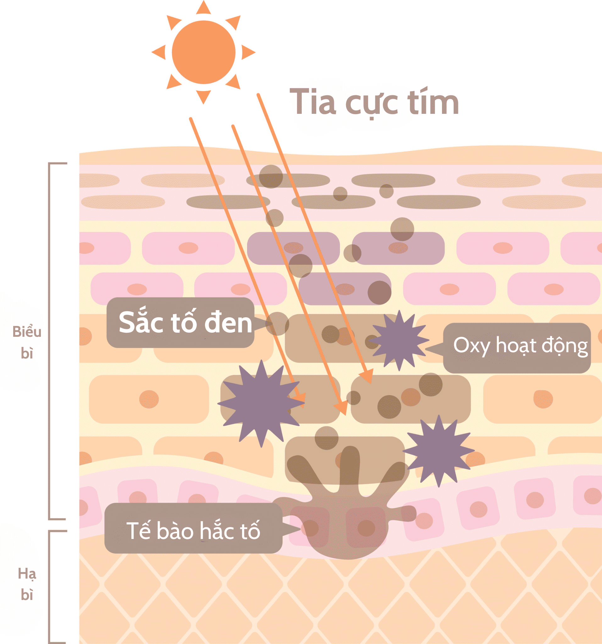 Cơ chế hình thành vết bẩn trên da là gì?