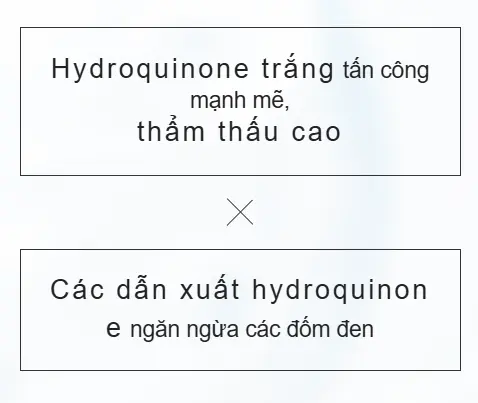 AnyConv.com Screenshot 2